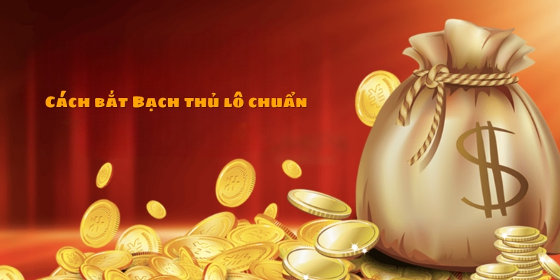 Các phương thức bắt bạch thủ lô siêu hay